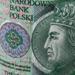 163.webp