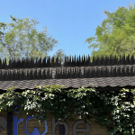 f38c193e9a0cbd0a64896d0a6510f79c.png