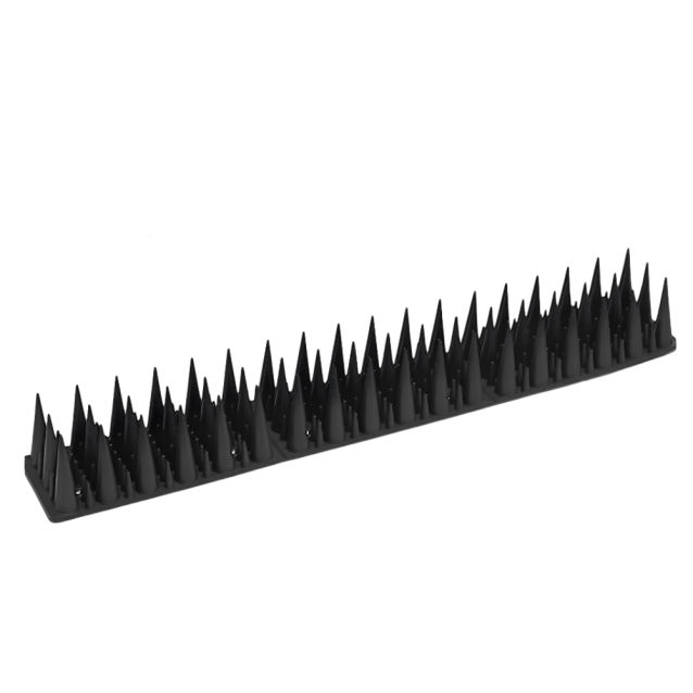 5907068860216 (2).png